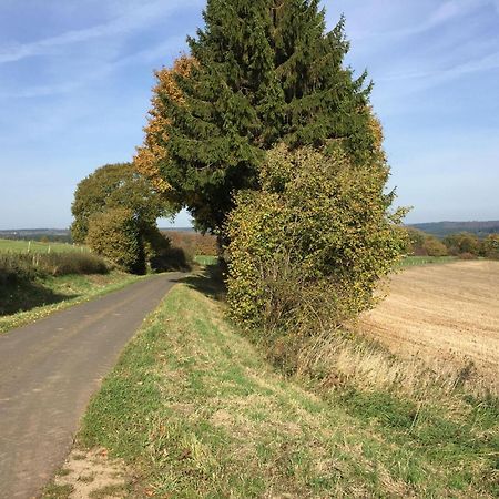 Ferienwohnung-Freuen Blankenheim  Zewnętrze zdjęcie