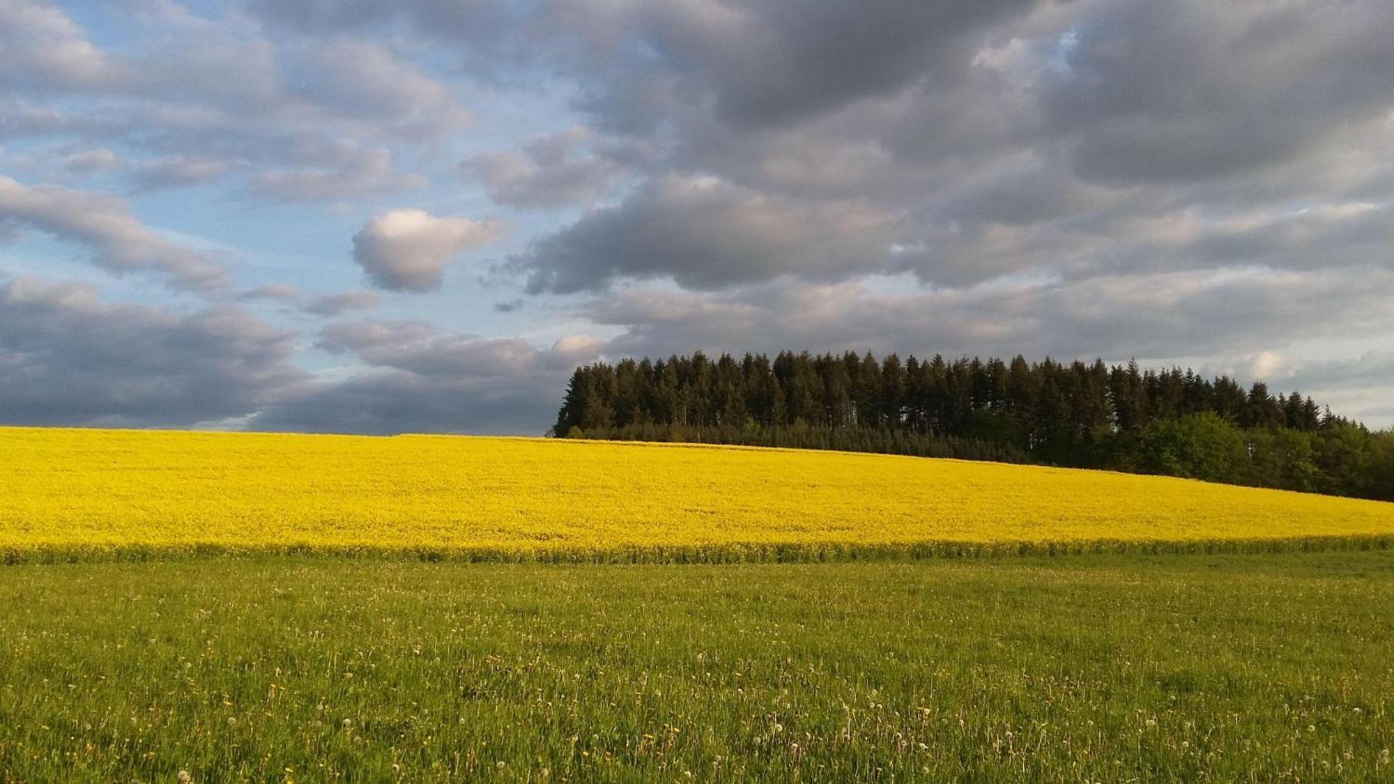 Ferienwohnung-Freuen Blankenheim  Zewnętrze zdjęcie